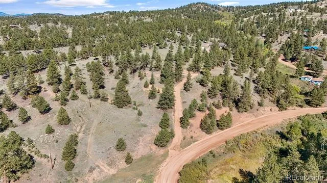 163 Valley View Drive Florissant, CO 80816