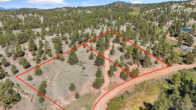 163 Valley View Drive Florissant, CO 80816