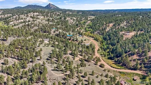 163 Valley View Drive Florissant, CO 80816