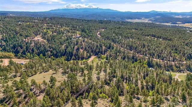 163 Valley View Drive Florissant, CO 80816