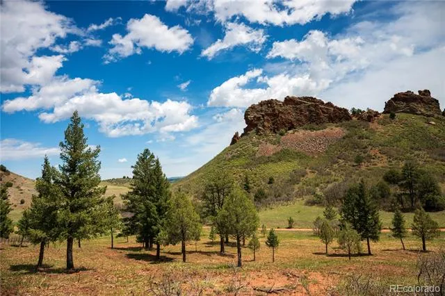 6128 Columbine Court Larkspur, CO 80118