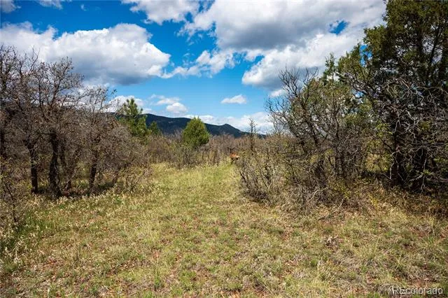 6128 Columbine Court Larkspur, CO 80118
