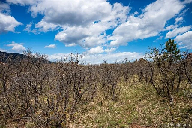 6128 Columbine Court Larkspur, CO 80118