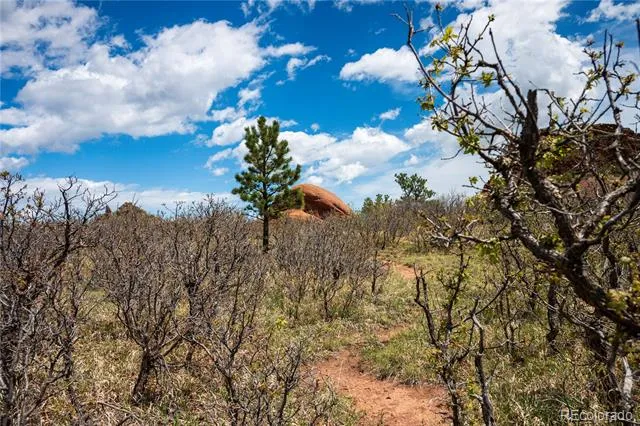 6128 Columbine Court Larkspur, CO 80118