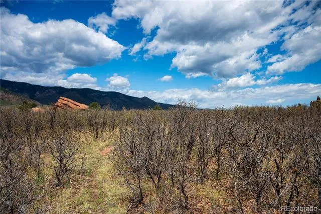 6128 Columbine Court Larkspur, CO 80118