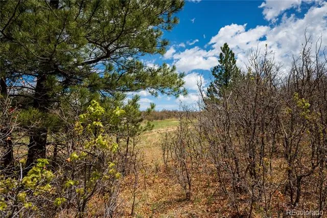 6128 Columbine Court Larkspur, CO 80118