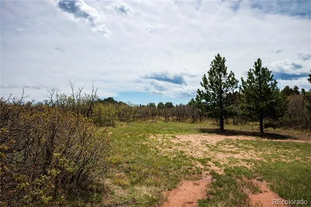 6128 Columbine Court Larkspur, CO 80118