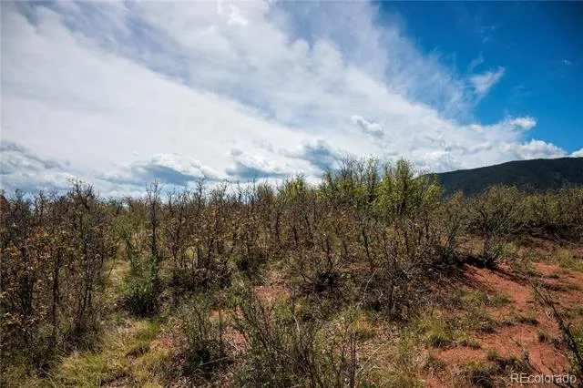 6128 Columbine Court Larkspur, CO 80118