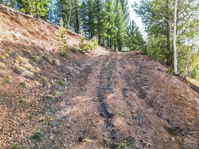 272 Wise Road Bailey, CO 80421