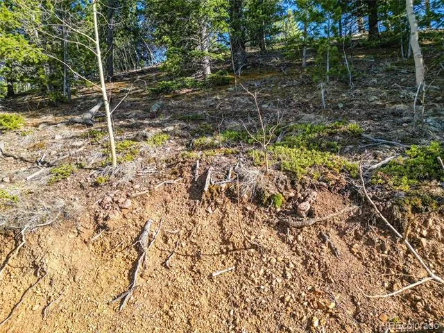 272 Wise Road Bailey, CO 80421
