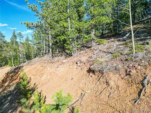 272 Wise Road Bailey, CO 80421