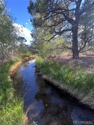 33077 US Highway 24 Buena Vista, CO 81211