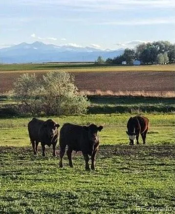 0 County Road 76 1/2 Windsor, CO 80550