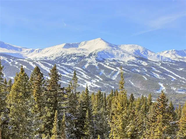 3362 Boreas Pass Road Breckenridge, CO 80424