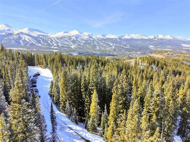 3362 Boreas Pass Road Breckenridge, CO 80424