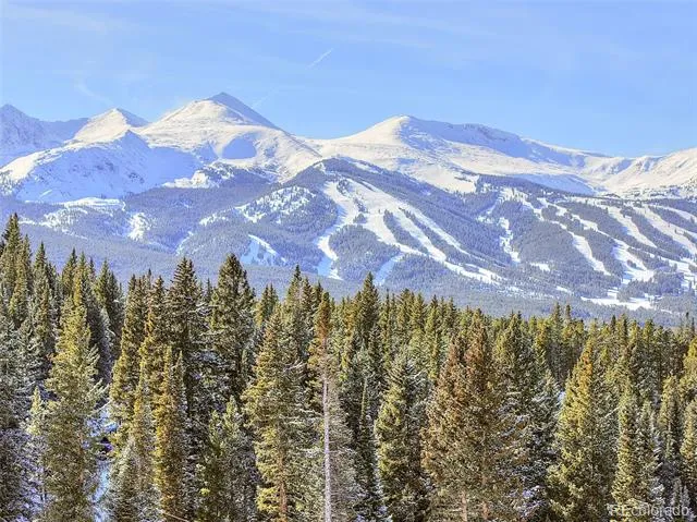 3362 Boreas Pass Road Breckenridge, CO 80424
