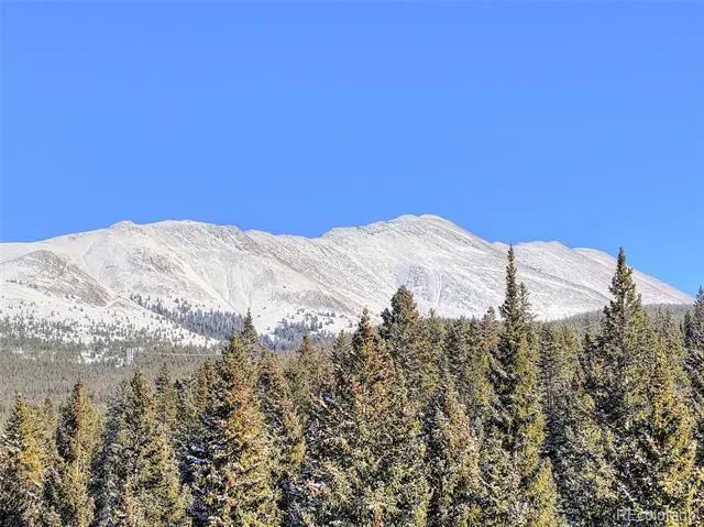 3362 Boreas Pass Road Breckenridge, CO 80424