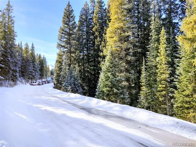 3362 Boreas Pass Road Breckenridge, CO 80424