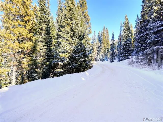 3362 Boreas Pass Road Breckenridge, CO 80424