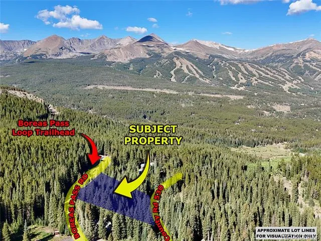 3362 Boreas Pass Road Breckenridge, CO 80424