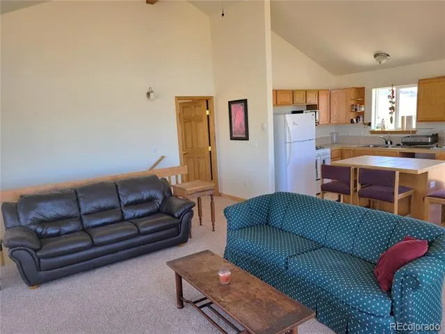 3150 High Chaparral Road Lake George, CO 80449
