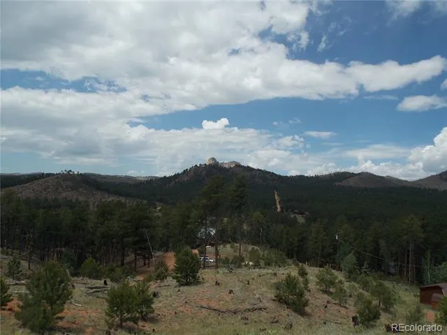 14691 Crooked Trail Road Woodland Park, CO 80863
