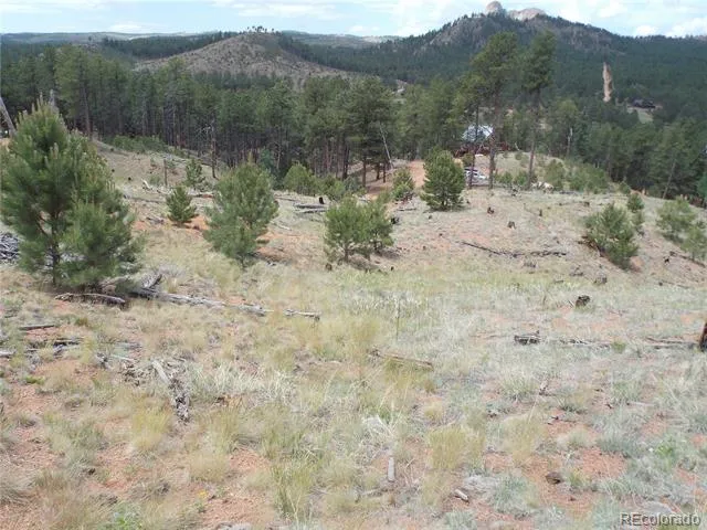 14691 Crooked Trail Road Woodland Park, CO 80863