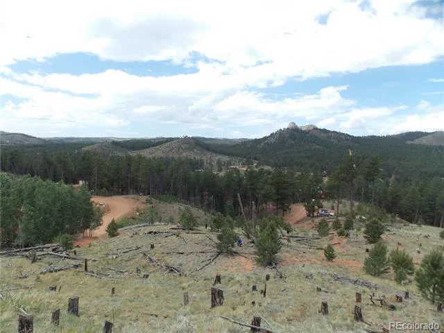 14691 Crooked Trail Road Woodland Park, CO 80863