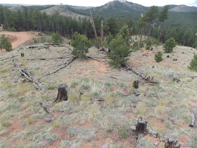 14691 Crooked Trail Road Woodland Park, CO 80863