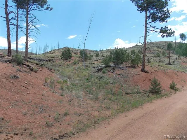14691 Crooked Trail Road Woodland Park, CO 80863