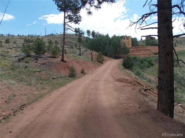 14691 Crooked Trail Road Woodland Park, CO 80863