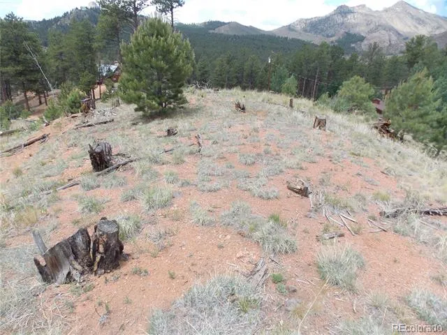 14691 Crooked Trail Road Woodland Park, CO 80863