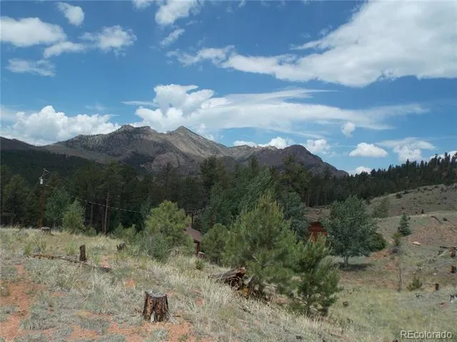 14691 Crooked Trail Road Woodland Park, CO 80863