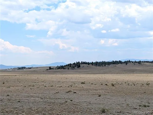 956 Apache Trail Hartsel, CO 80449