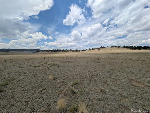 956 Apache Trail Hartsel, CO 80449