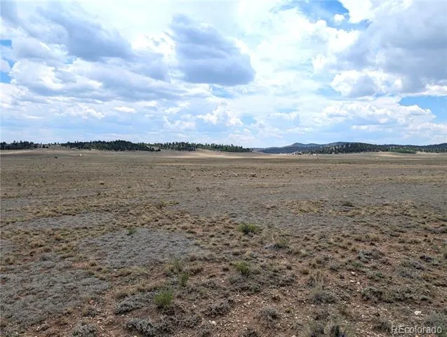 956 Apache Trail Hartsel, CO 80449