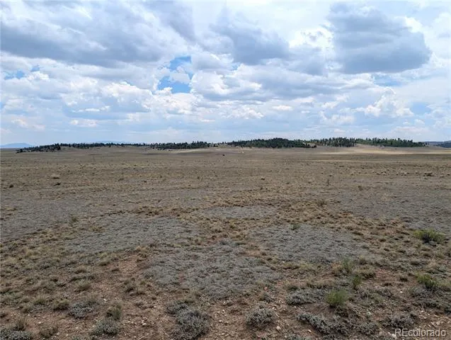 956 Apache Trail Hartsel, CO 80449