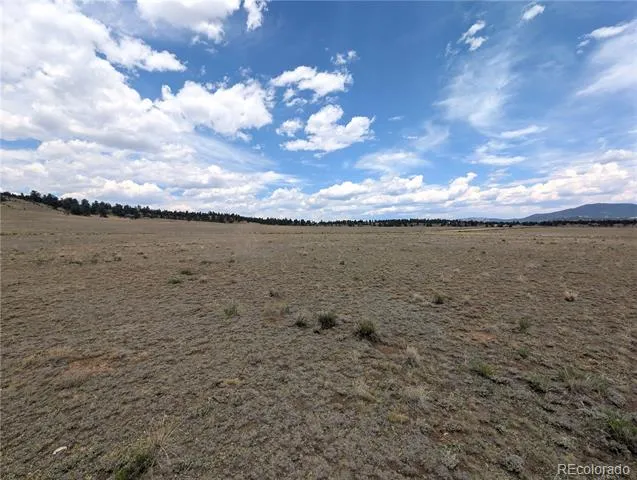956 Apache Trail Hartsel, CO 80449