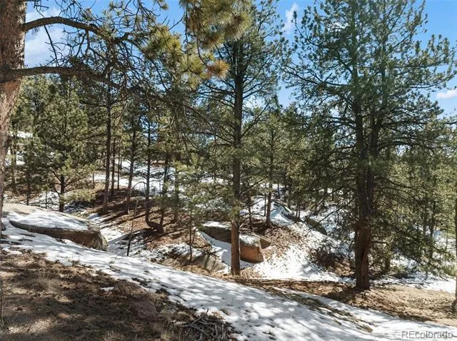 Address Not Shown Florissant, CO 80816