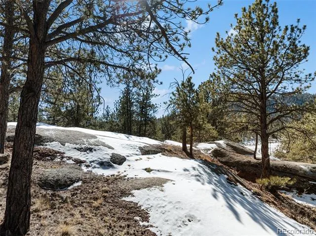 Address Not Shown Florissant, CO 80816