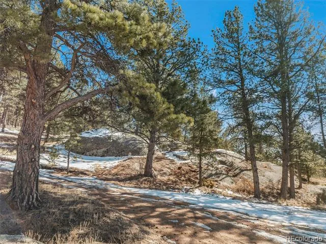 Address Not Shown Florissant, CO 80816