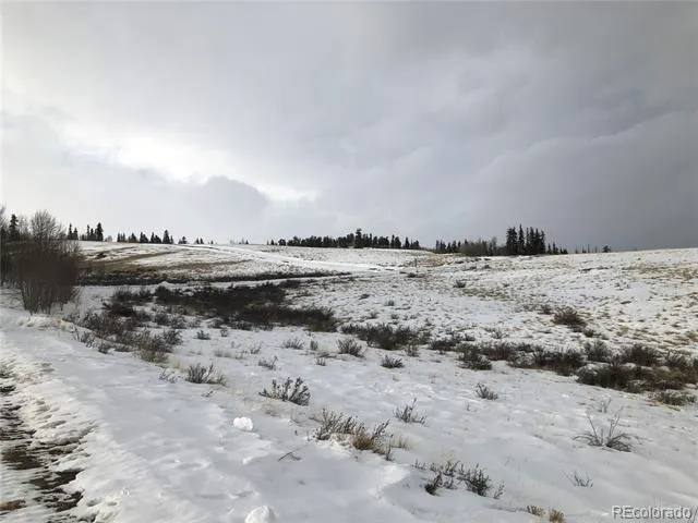 825 Gitche Goone Lane Como, CO 80432