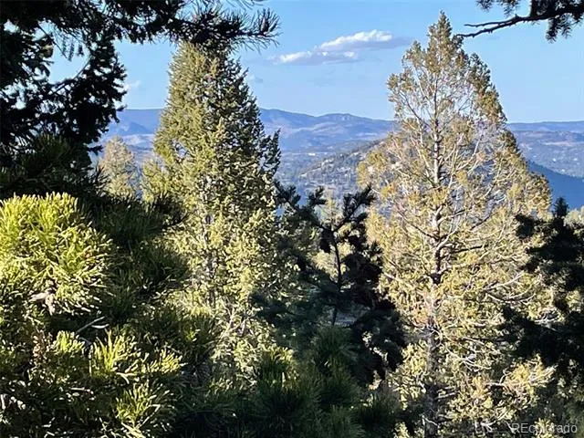 33131 Lynx Lane Evergreen, CO 80439
