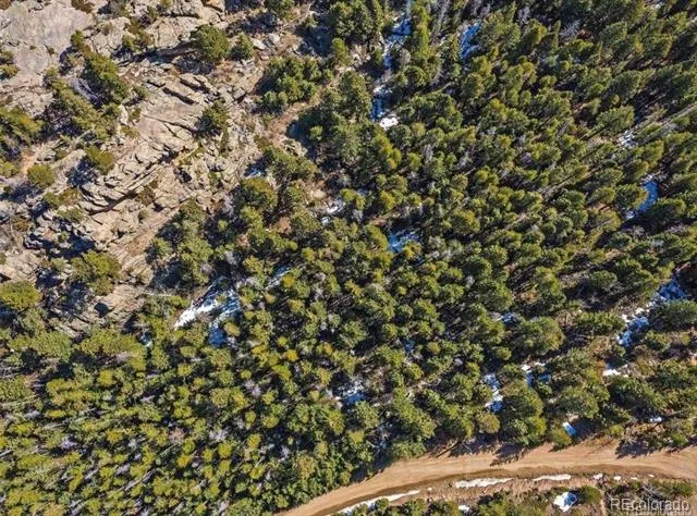 33131 Lynx Lane Evergreen, CO 80439