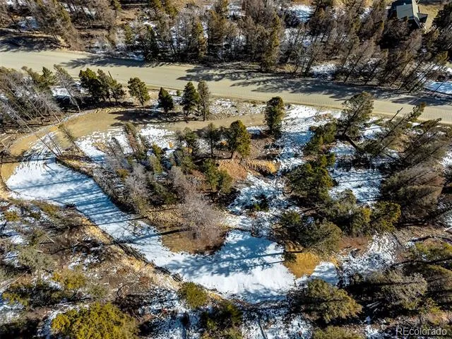 1423 Redhill Road Fairplay, CO 80440