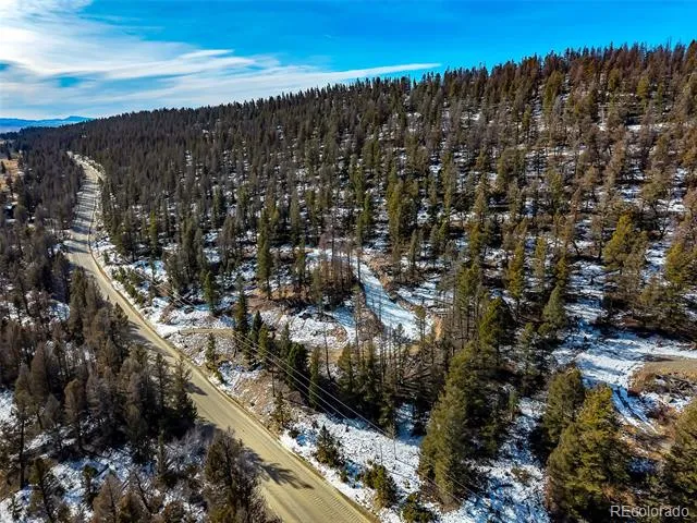 1423 Redhill Road Fairplay, CO 80440