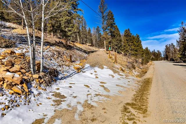 1423 Redhill Road Fairplay, CO 80440