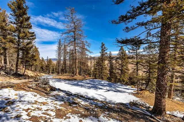 1423 Redhill Road Fairplay, CO 80440