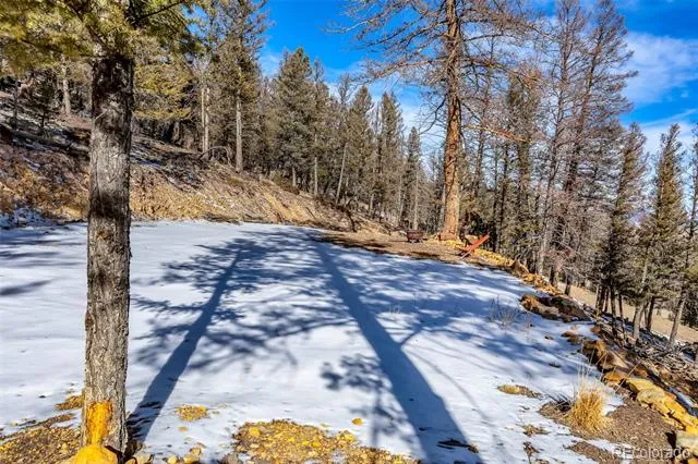 1423 Redhill Road Fairplay, CO 80440