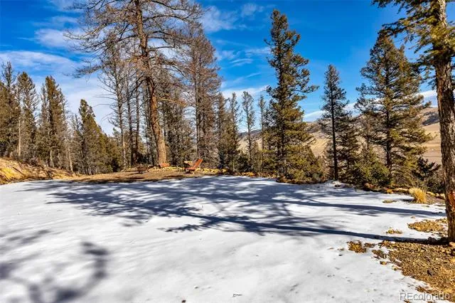 1423 Redhill Road Fairplay, CO 80440